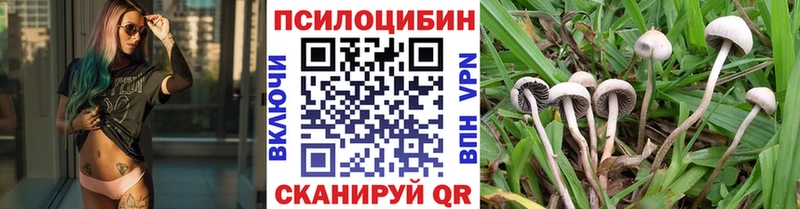 Галлюциногенные грибы Cubensis  Болотное 